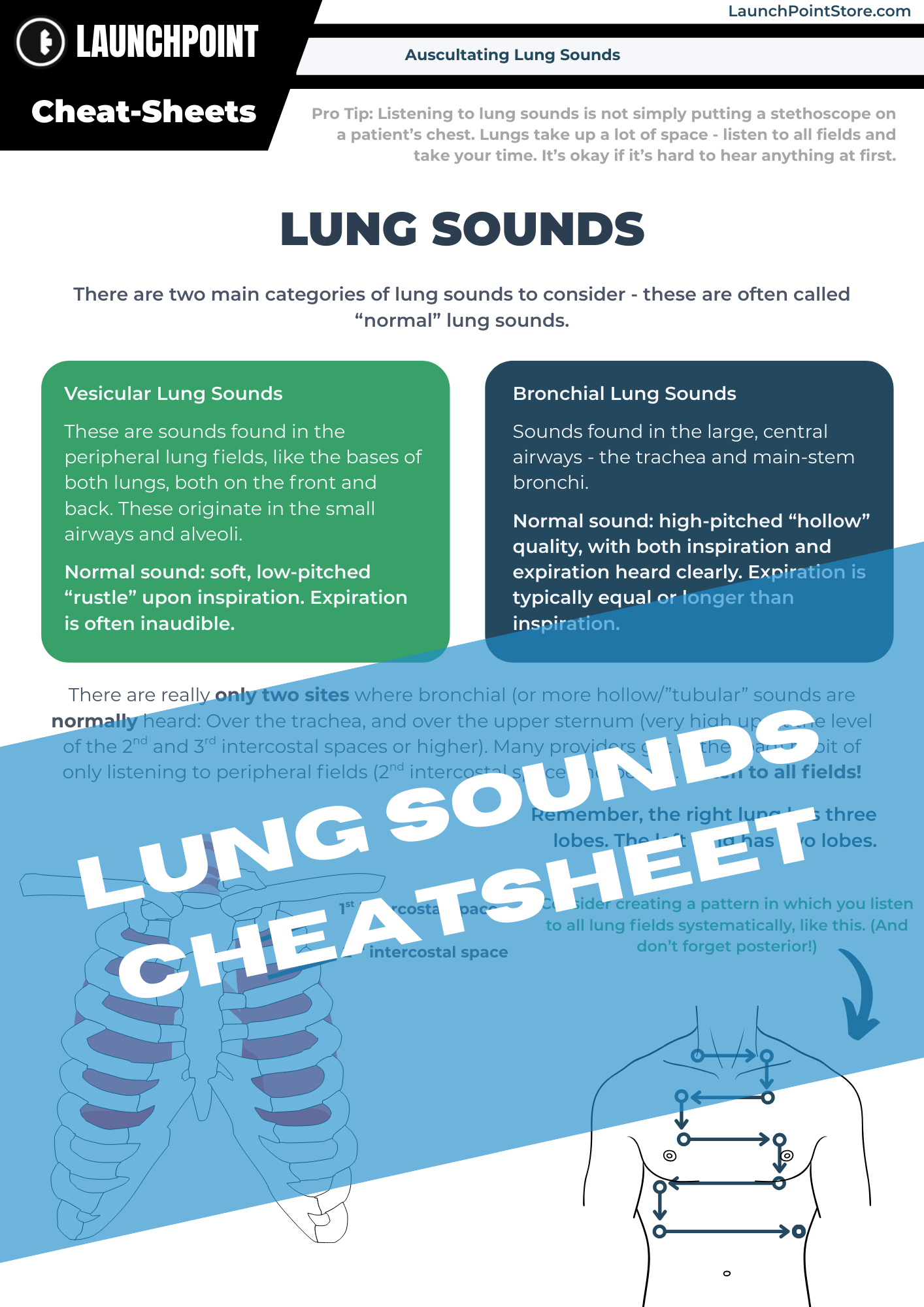Cheatsheet & Test Prep Bundle
