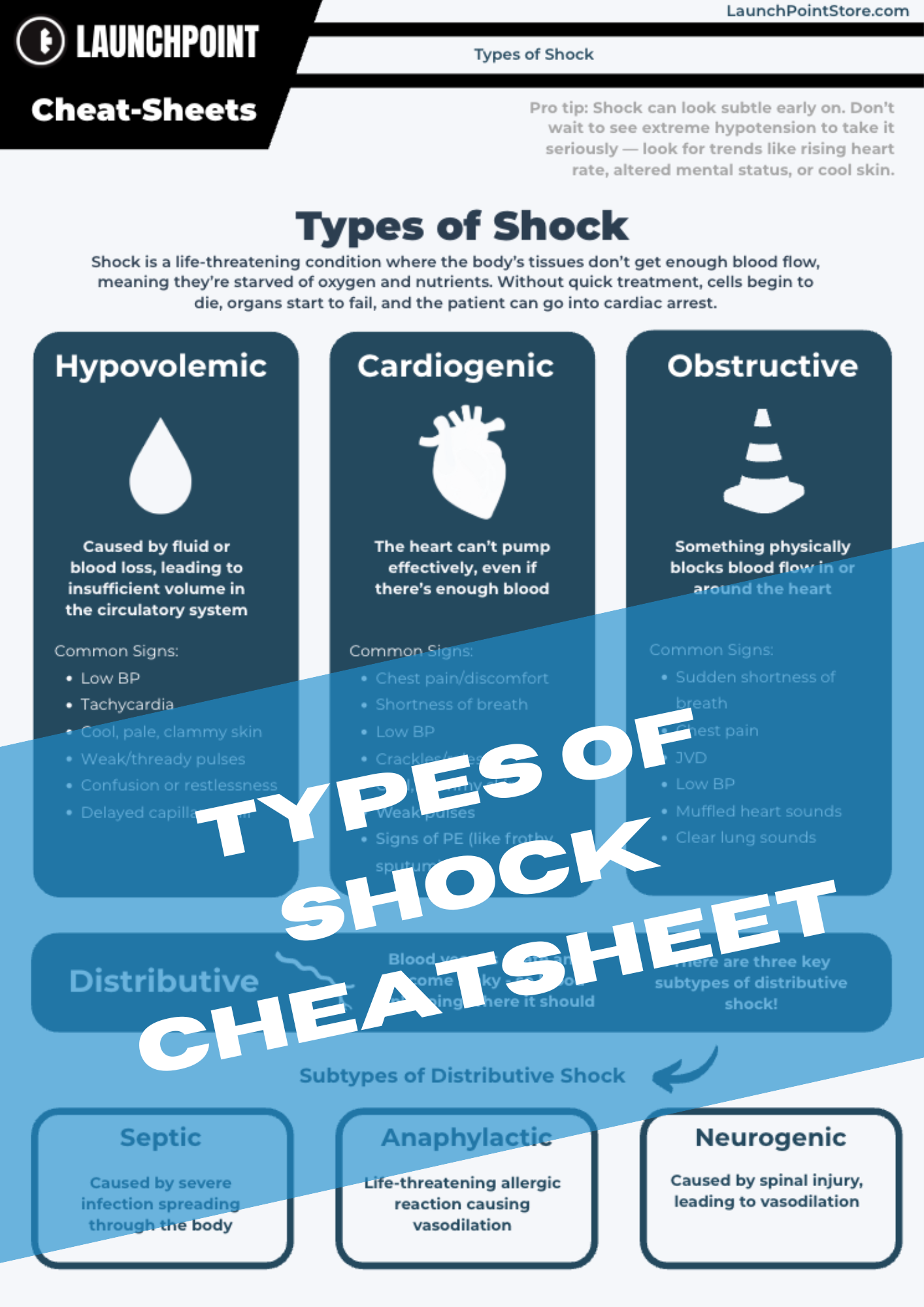 Cheatsheet & Test Prep Bundle
